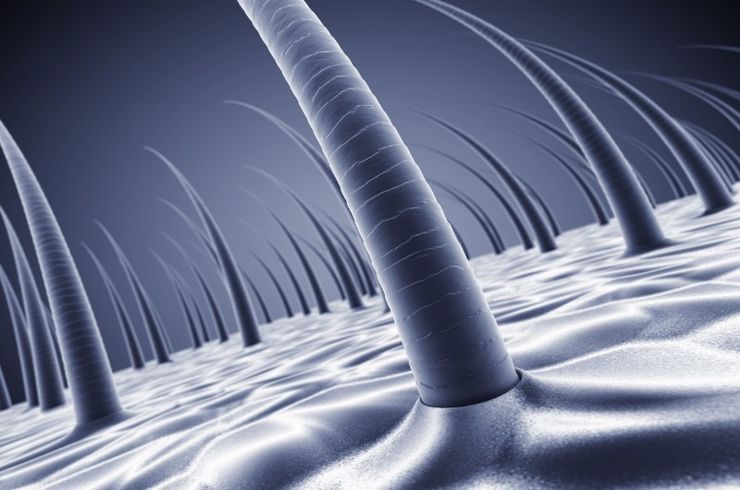 頭皮の健康促進の効果